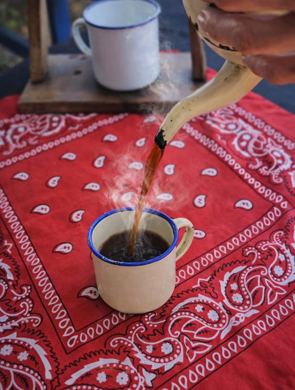 Restaurant Los Barriles