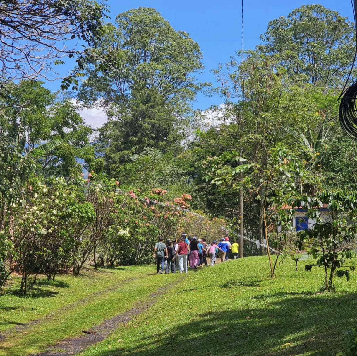 Group tour experience